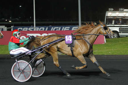 Actualités Hippiques